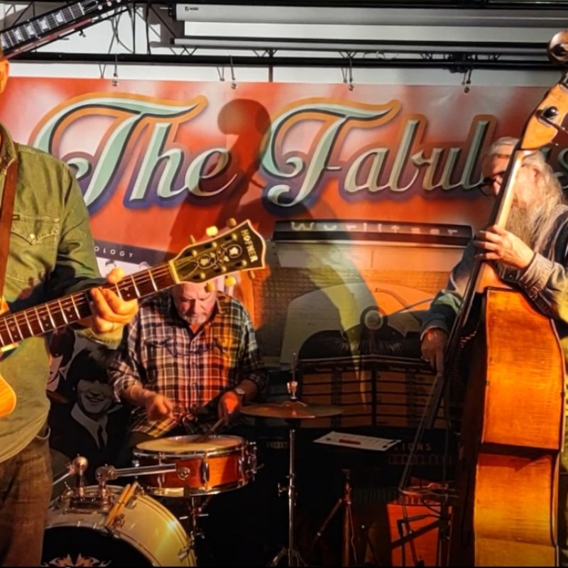 The Snake Doctors - Streekbierenweekend Zaventem 